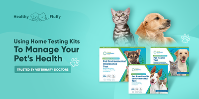 Using Home Testing Kits To Manage Your Pet’s Health