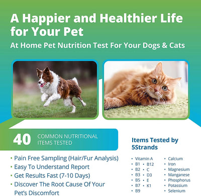 Pet Vitamins & Minerals Test (Nutrition Imbalance Test) - At Home Dog/Cat Hair Sample Collection