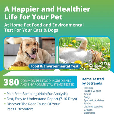 Pet Food & Environmental Intolerance Test - At Home Dog/Cat Hair Sample Collection