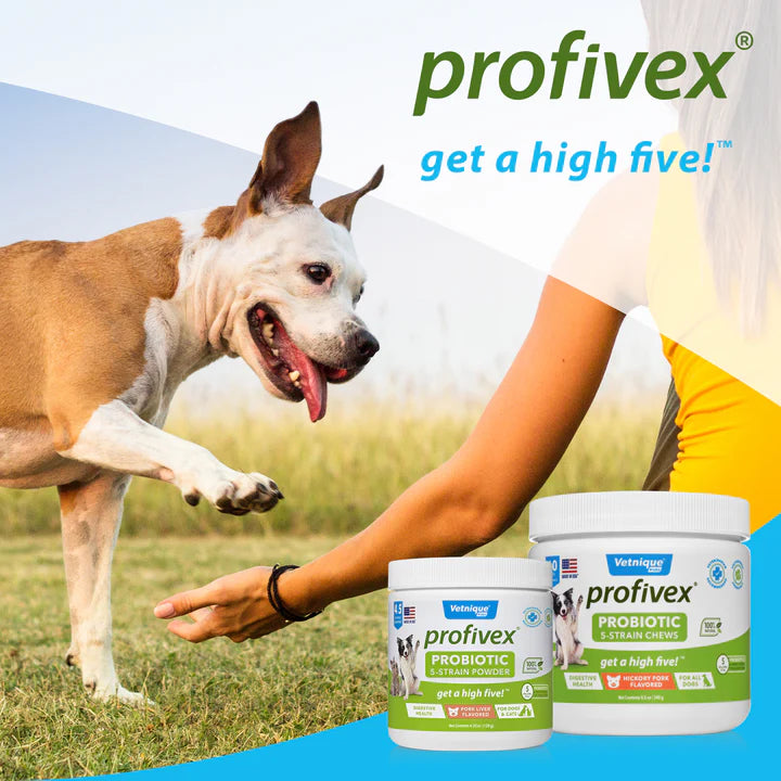 PROFIVEX® Five Strain Probiotics Powder for Dogs & Cats- 4.25 OZ Powder