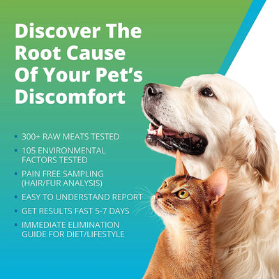 Pet Raw Food & Environmental Intolerance Test - At Home Dog/Cat Hair Sample Collection