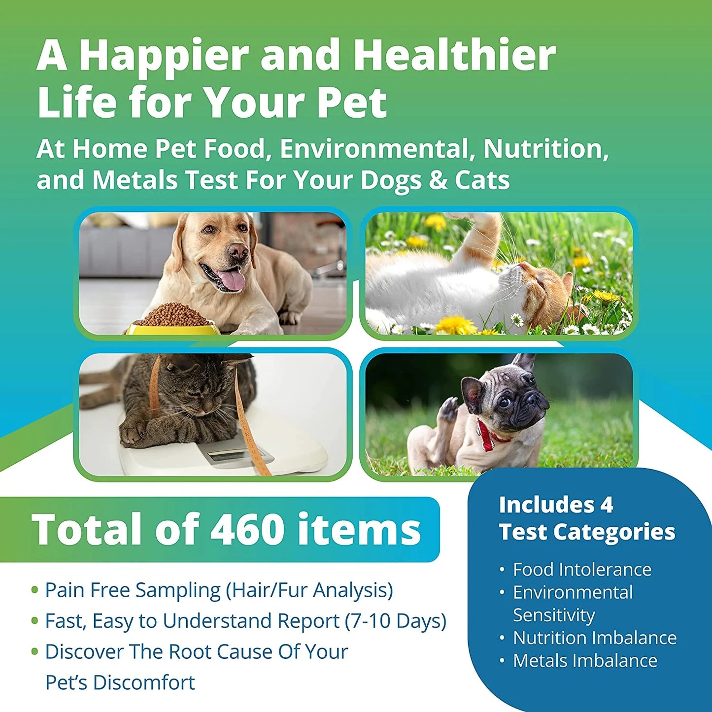 Pet Health Test: Food Intolerance, Environmental Intolerance, Nutrition Imbalance, Metal & Minerals for Dogs and Cats