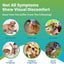 Pet Vitamins & Minerals Test (Nutrition Imbalance Test) - At Home Dog/Cat Hair Sample Collection