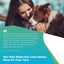 Pet Food & Environmental Intolerance Test - At Home Dog/Cat Hair Sample Collection