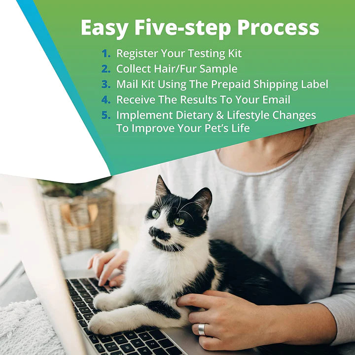 Pet Food & Environmental Intolerance Test - At Home Dog/Cat Hair Sample Collection