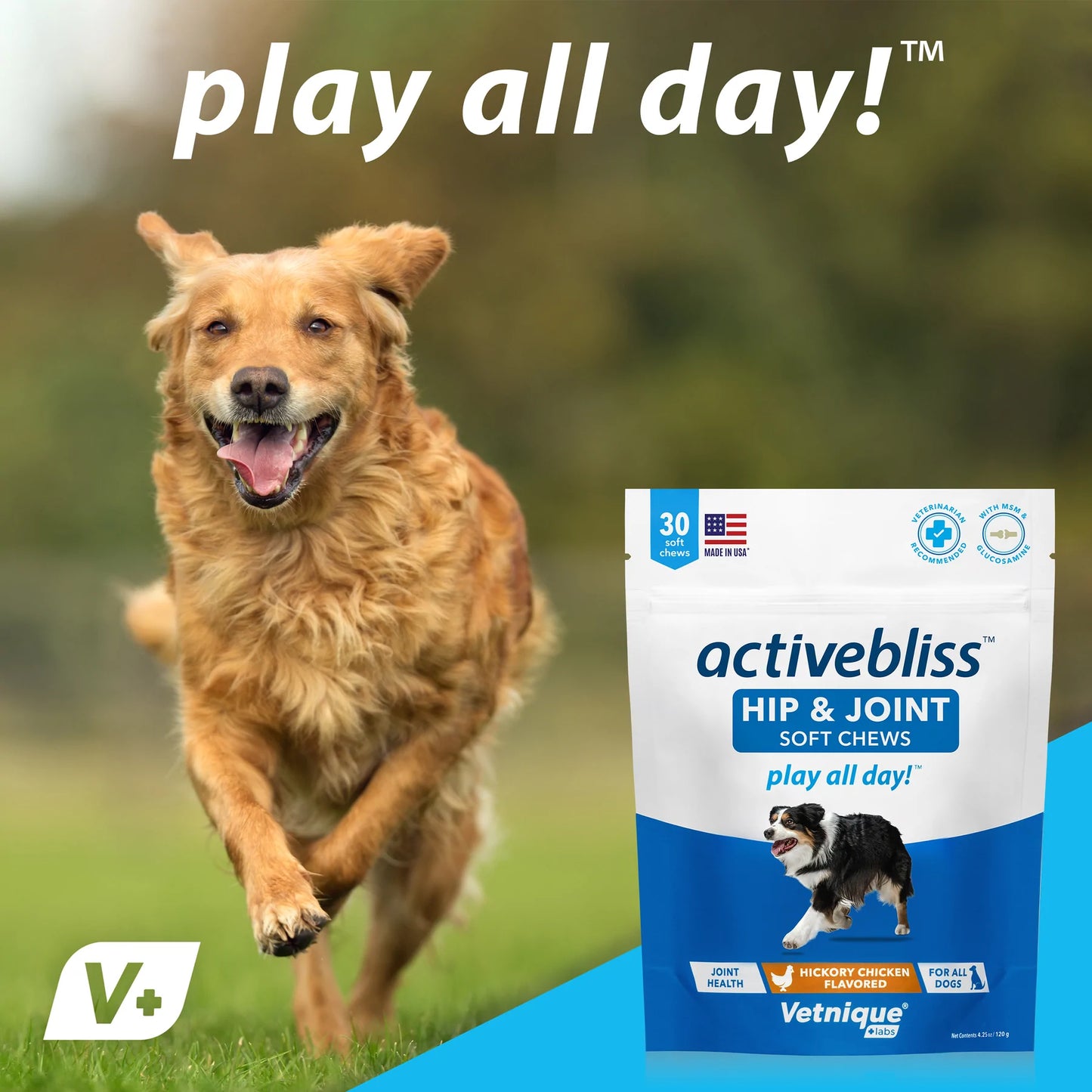 ACTIVEBLISS™ Hip & Joint Supplement for Dogs - 30 CHEWS