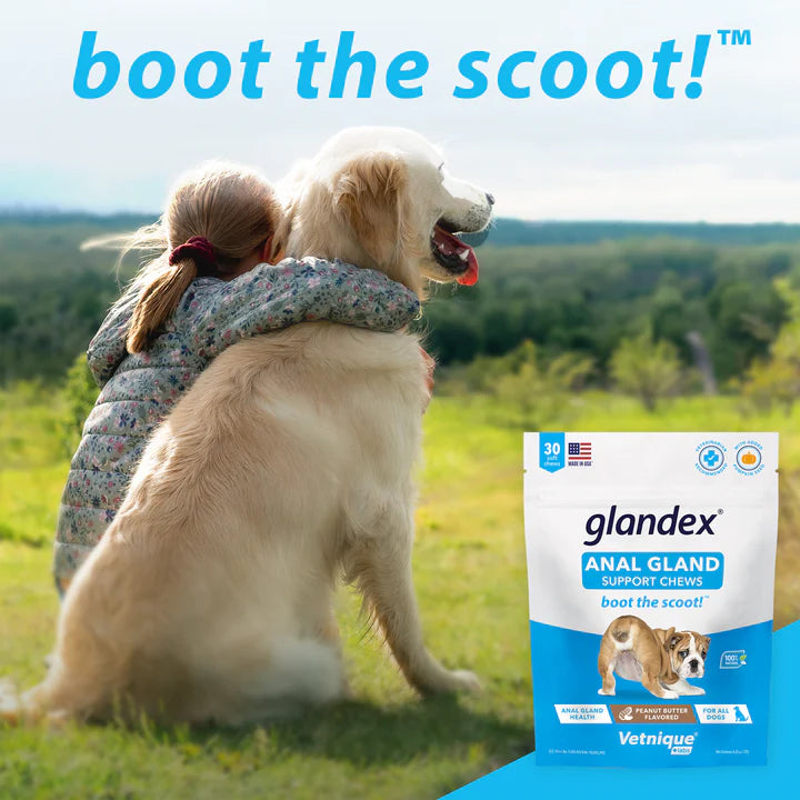 GLANDEX® Anal Gland Supplement For Dogs With Pumpkin - 30 CHEWS