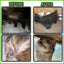 Pet Food & Environmental Intolerance Test - At Home Dog/Cat Hair Sample Collection