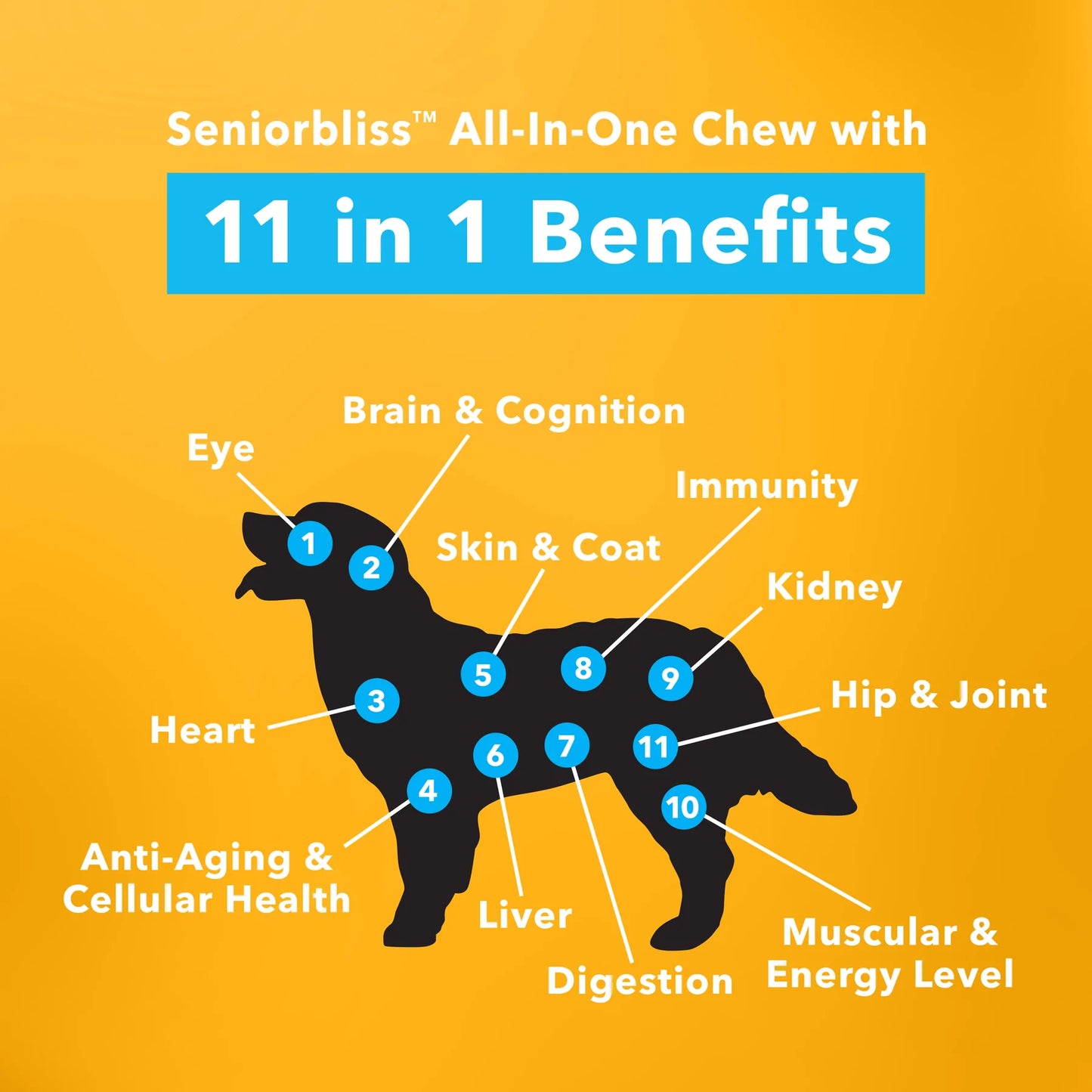 SENIORBLISS™ All-in-one Supplement For Senior Dogs - 30 CHEWS