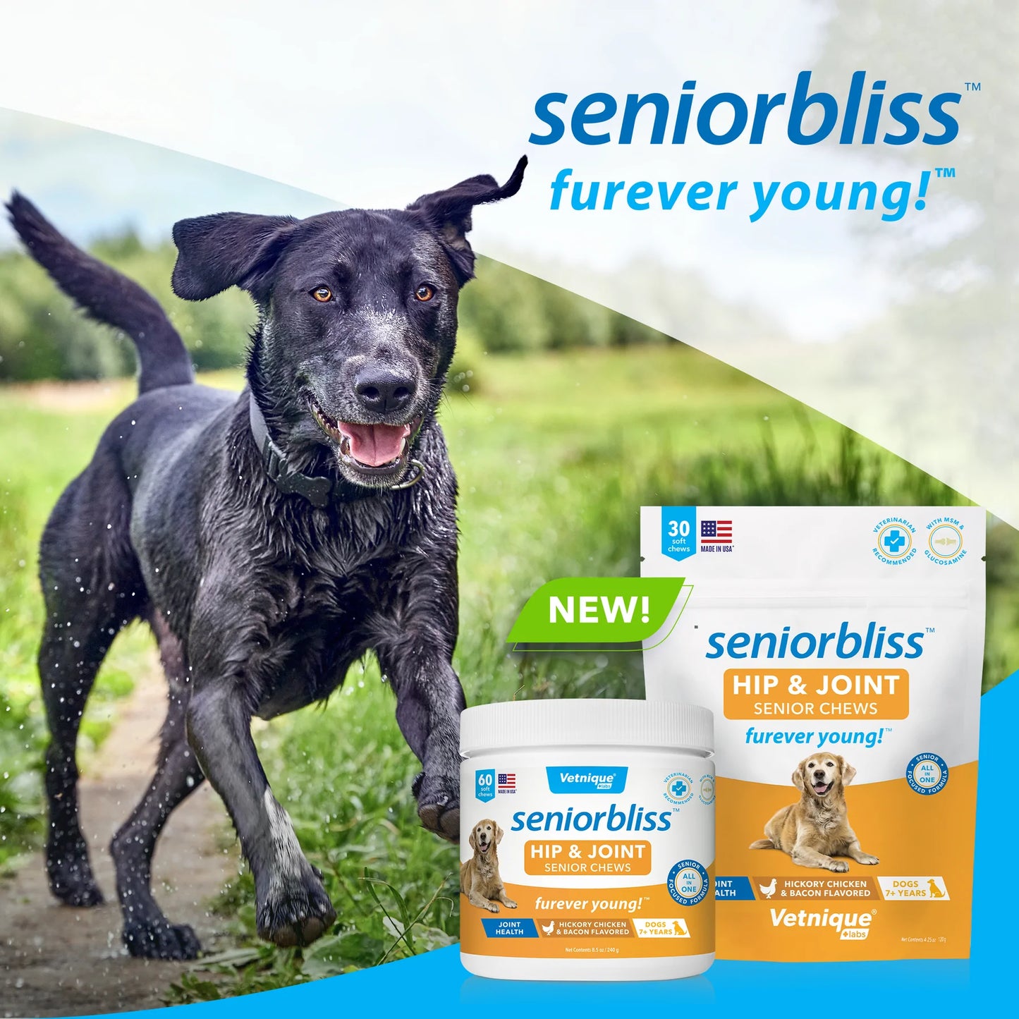 SENIORBLISS™ Hip & Joint Supplement for Senior Dogs - 30 CHEWS