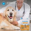 SENIORBLISS™ Hip & Joint Supplement for Senior Dogs - 30 CHEWS
