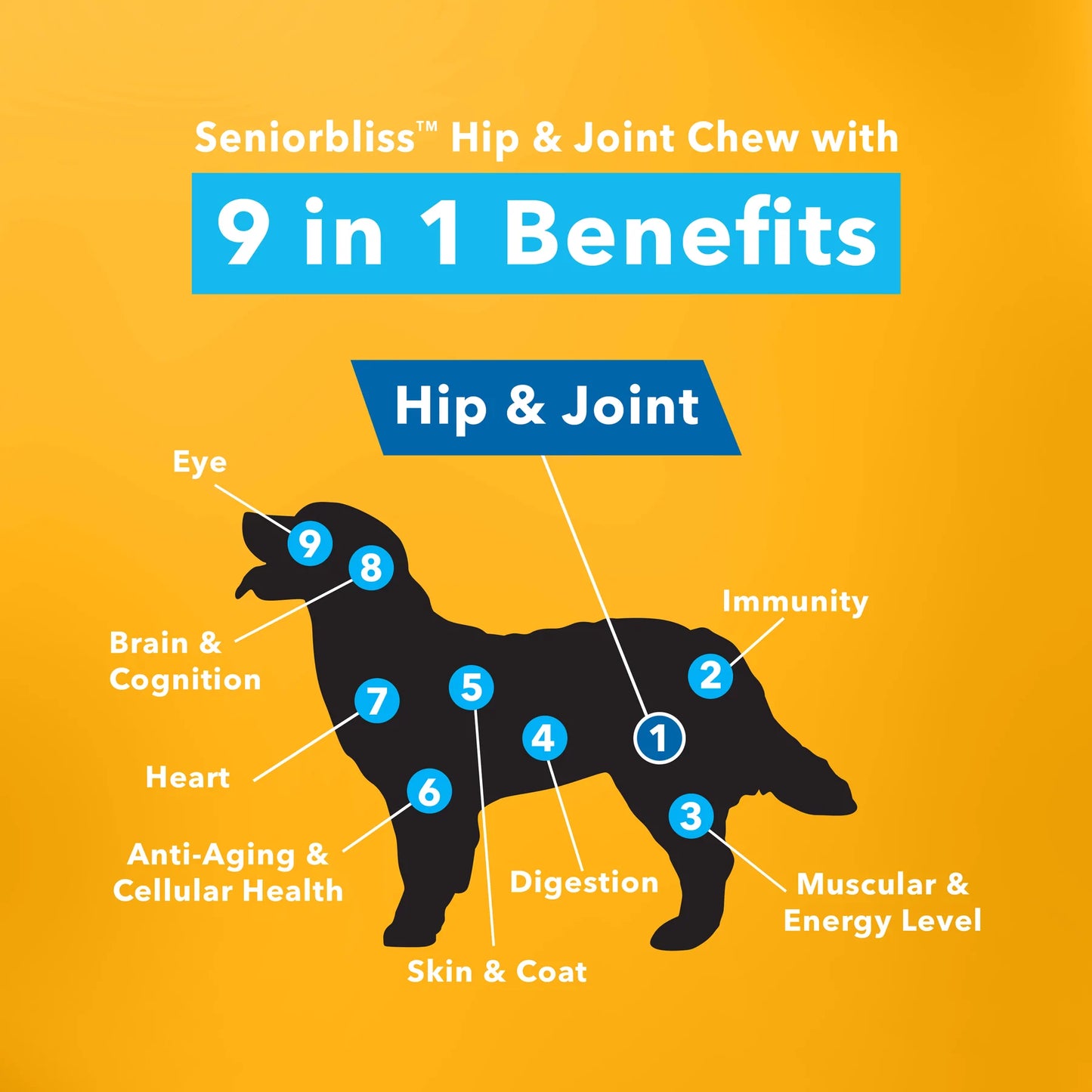 SENIORBLISS™ Hip & Joint Supplement for Senior Dogs - 30 CHEWS